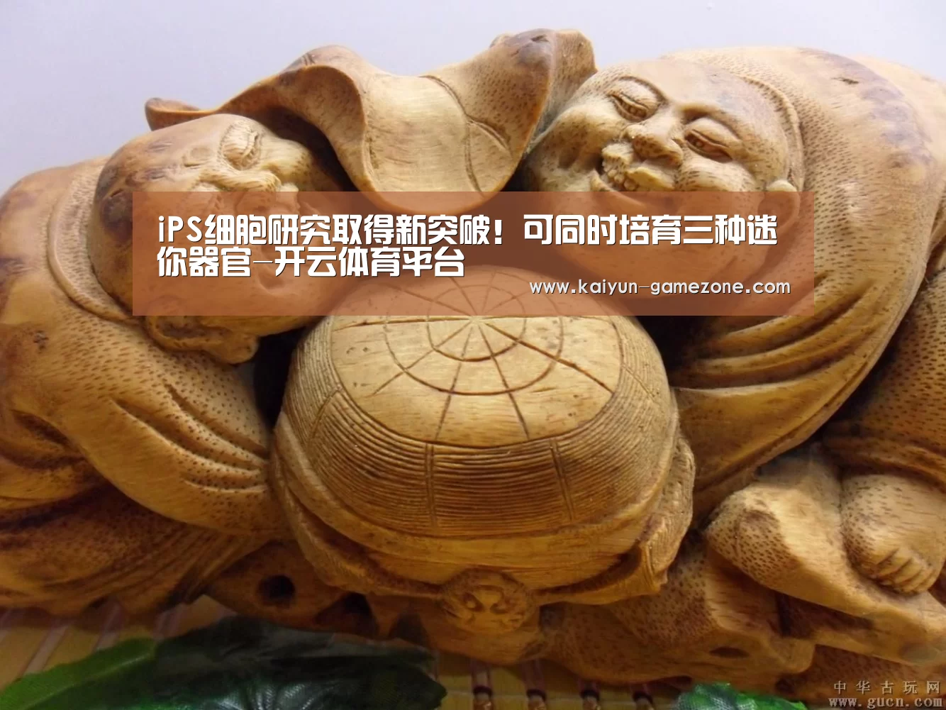 iPS细胞研究取得新突破!可同时培育三种迷你器官-开云体育平台(图1) 开云体育平台